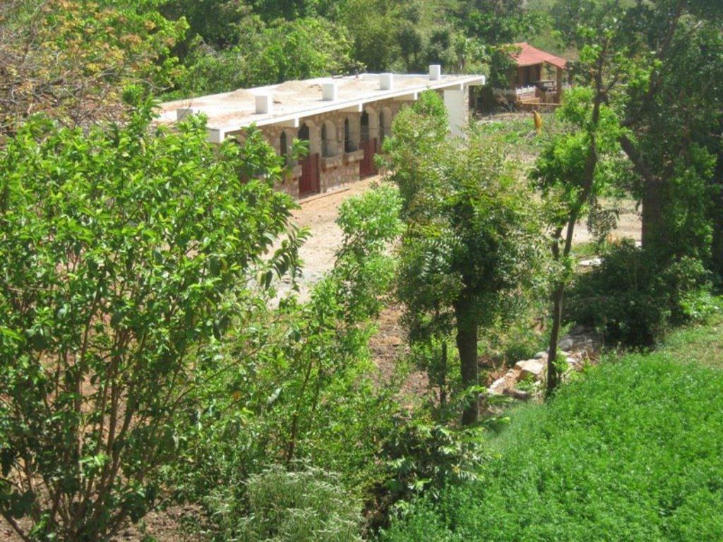 הוילה אודייפור Krishna Ranch מראה חיצוני תמונה
