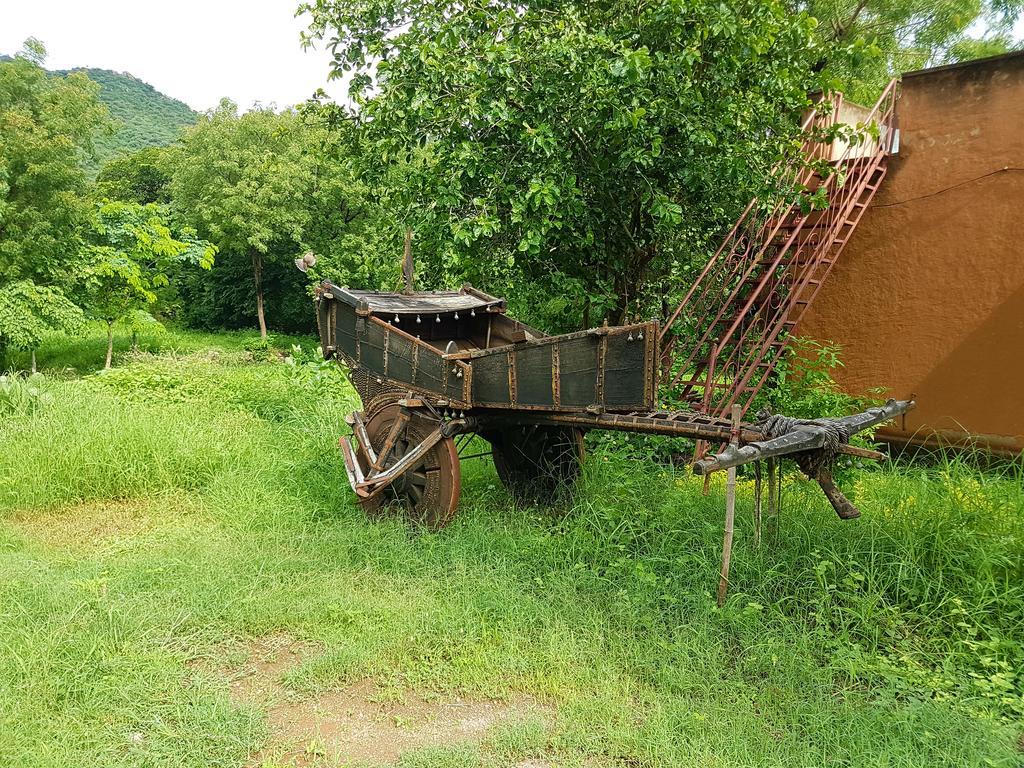 הוילה אודייפור Krishna Ranch מראה חיצוני תמונה